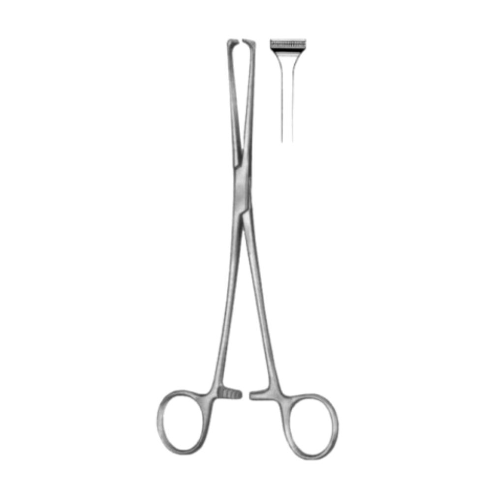 Allis-Atrauma Tissue Forcep