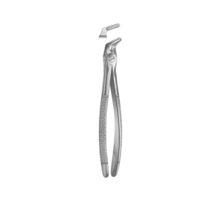 Extracting Forceps English pattern