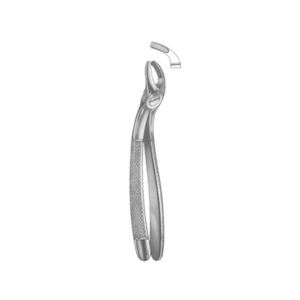 Extracting Forceps English pattern