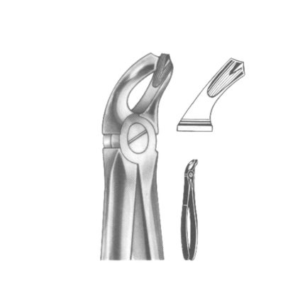 Extracting Forceps English pattern