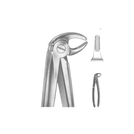 Extracting Forceps English pattern