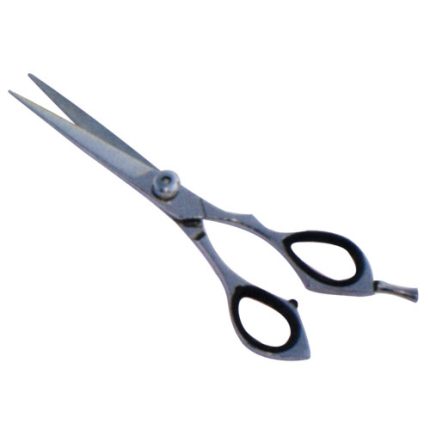 Professional Hair Cutting Scissor