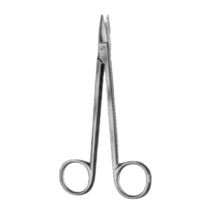 Quinby Gum Scissor Straight