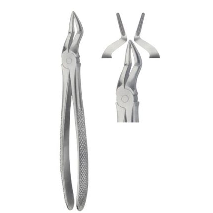 Tooth Forceps for upper roots